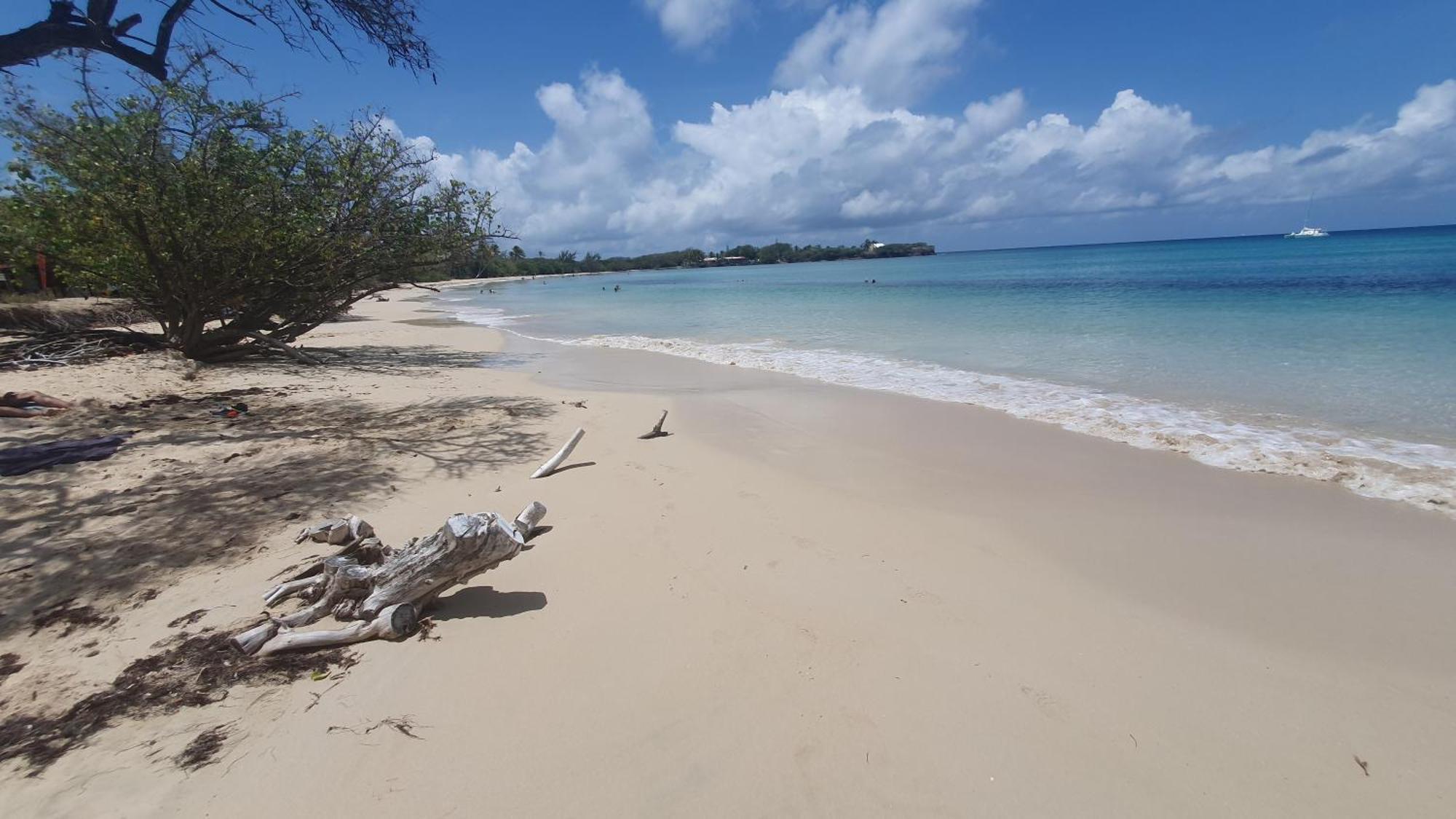 Ti Oasis Colibri, 1 Chambre, Piscine, A 150M De La Plage แซ็งต์-ลูซ ภายนอก รูปภาพ
