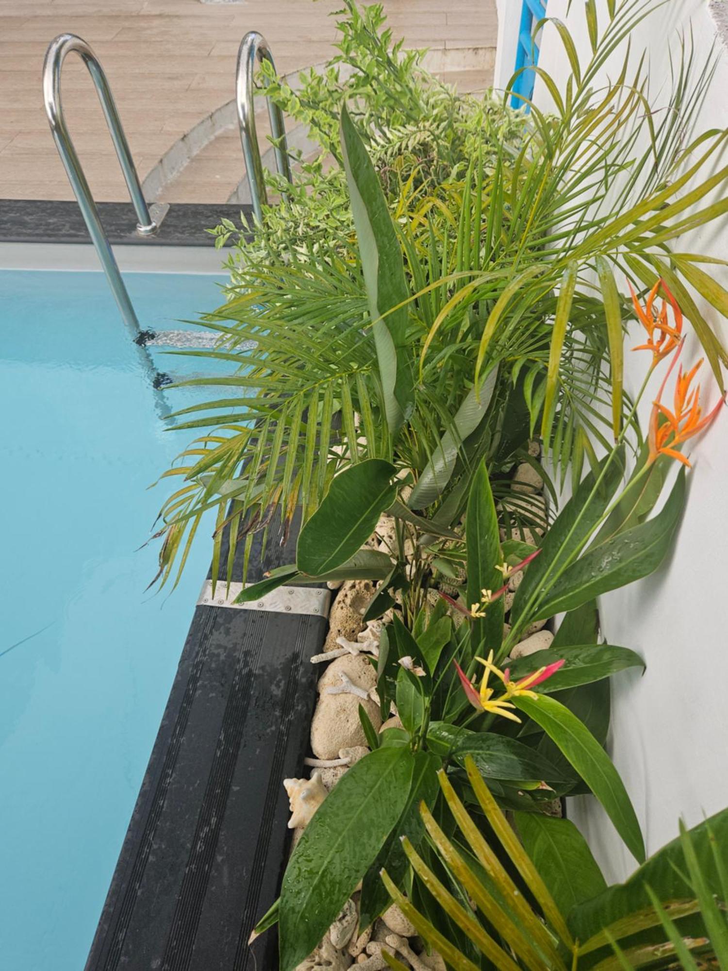Ti Oasis Colibri, 1 Chambre, Piscine, A 150M De La Plage แซ็งต์-ลูซ ภายนอก รูปภาพ